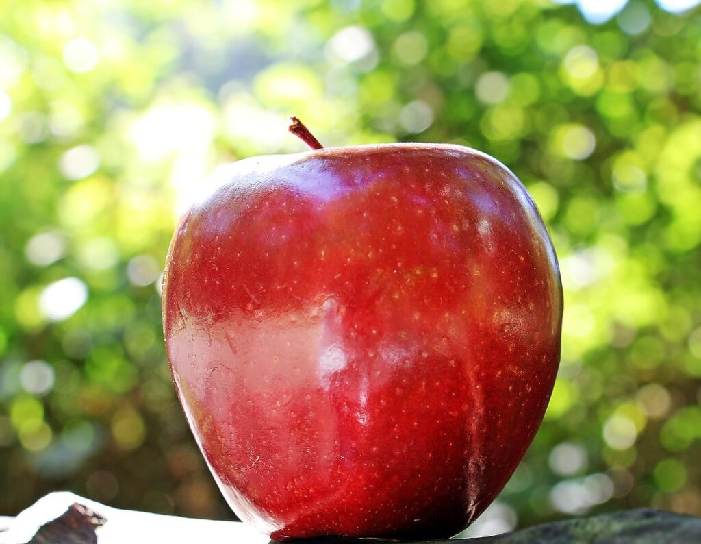 apple crafts for preschoolers
