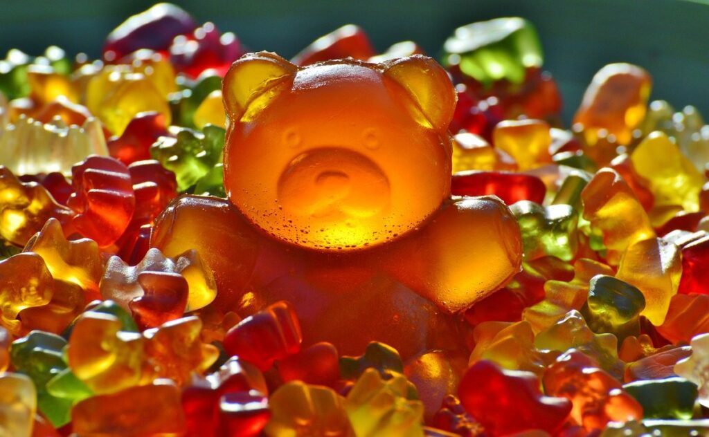 bear art activities for preschoolers