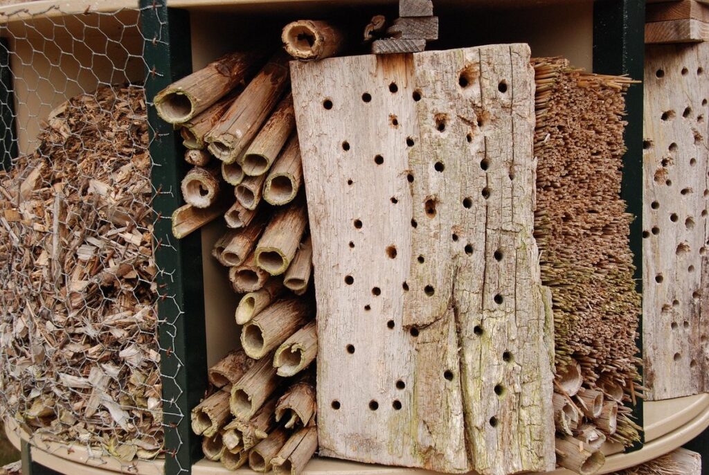 bug hotels ideas for kids