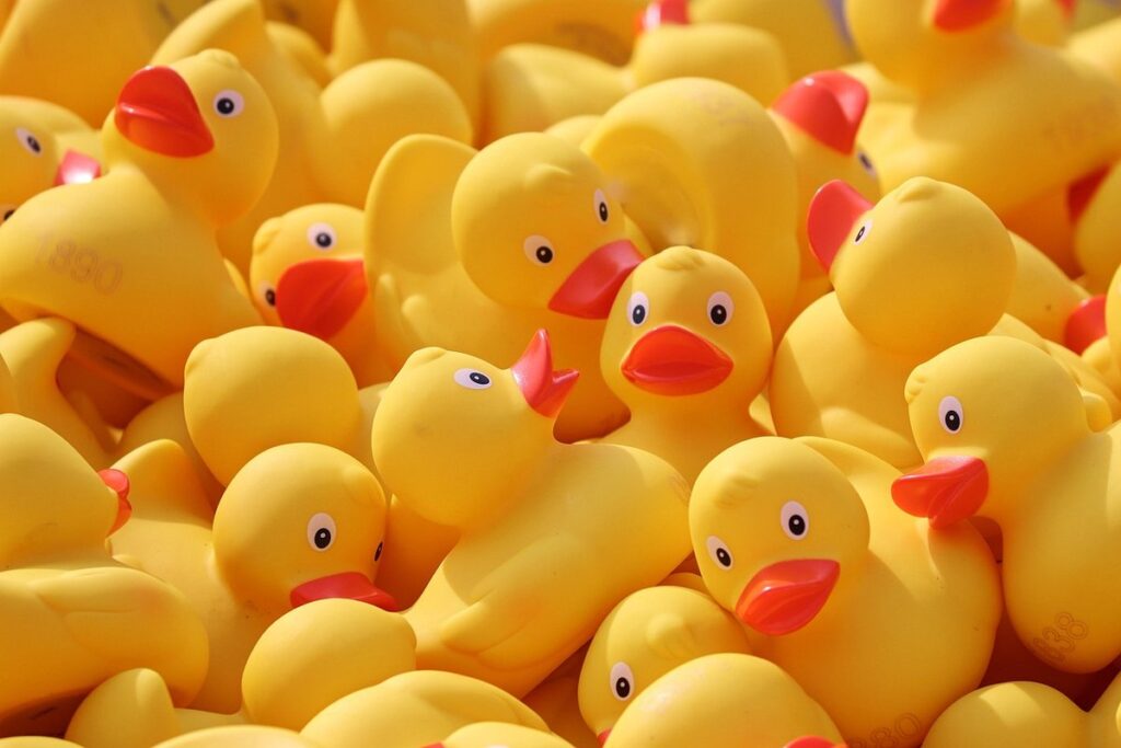ducky race game for kids