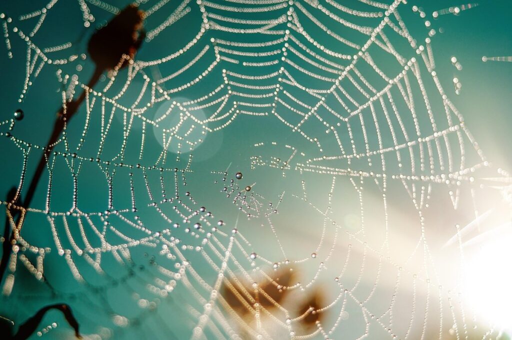paper cobwebs for kids