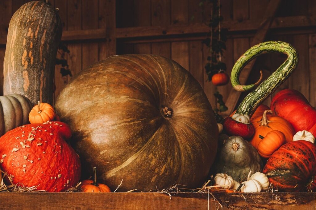 pumpkin crafts for preschoolers