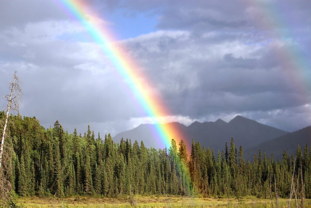 rainbow activities for preschoolers