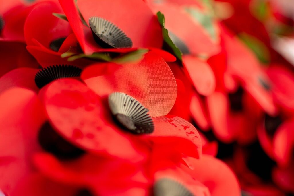 craft ideas for remembrance day for kids