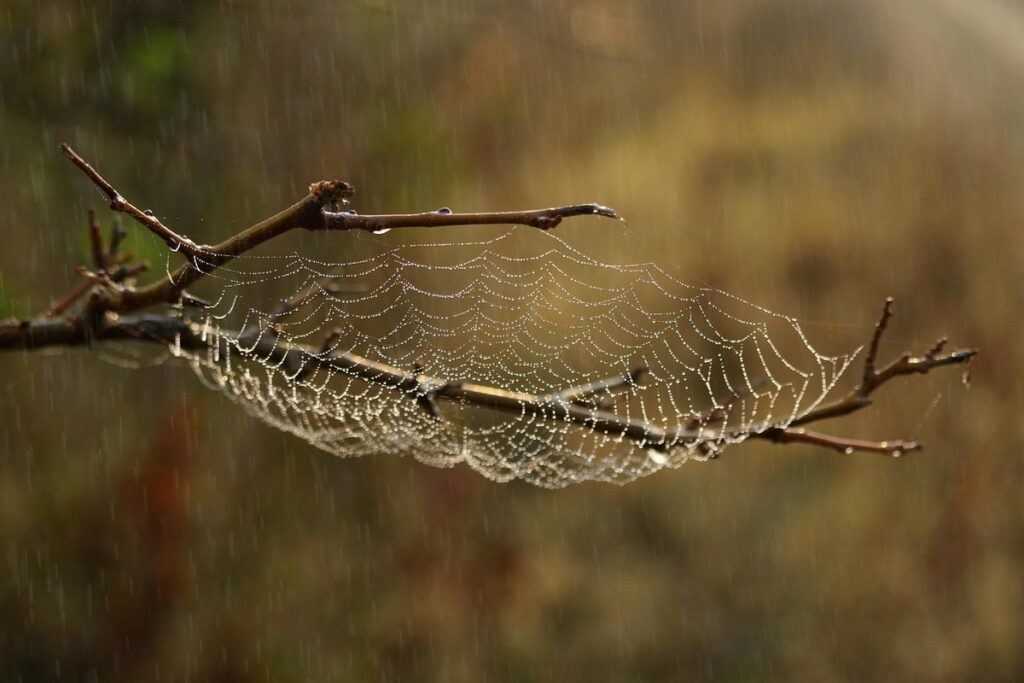 how to create spider web for kids