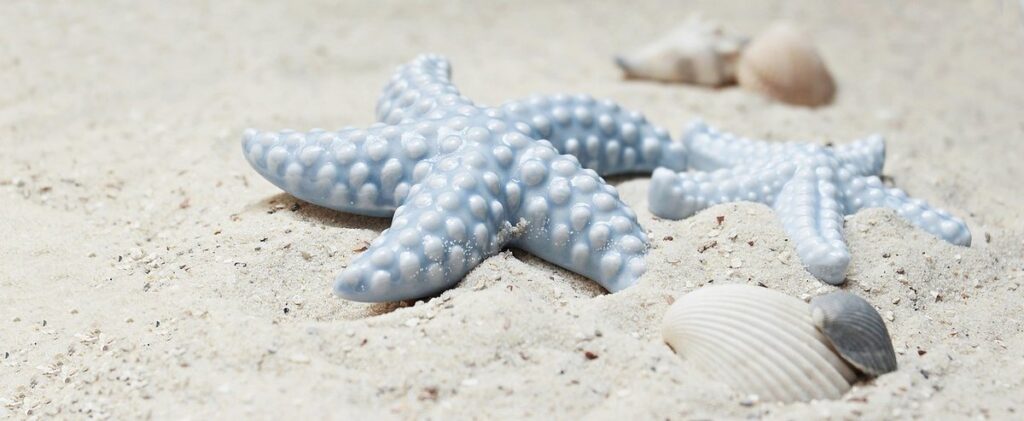 starfish crafts for ocean themes