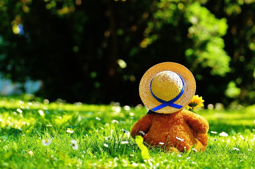 Teddy bear craft