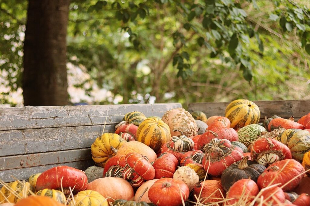 preschool thanksgiving art activities
