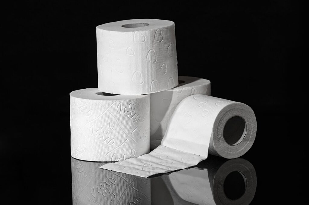 toilet roll bunny for kids