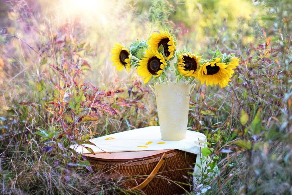 vase nature for kids
