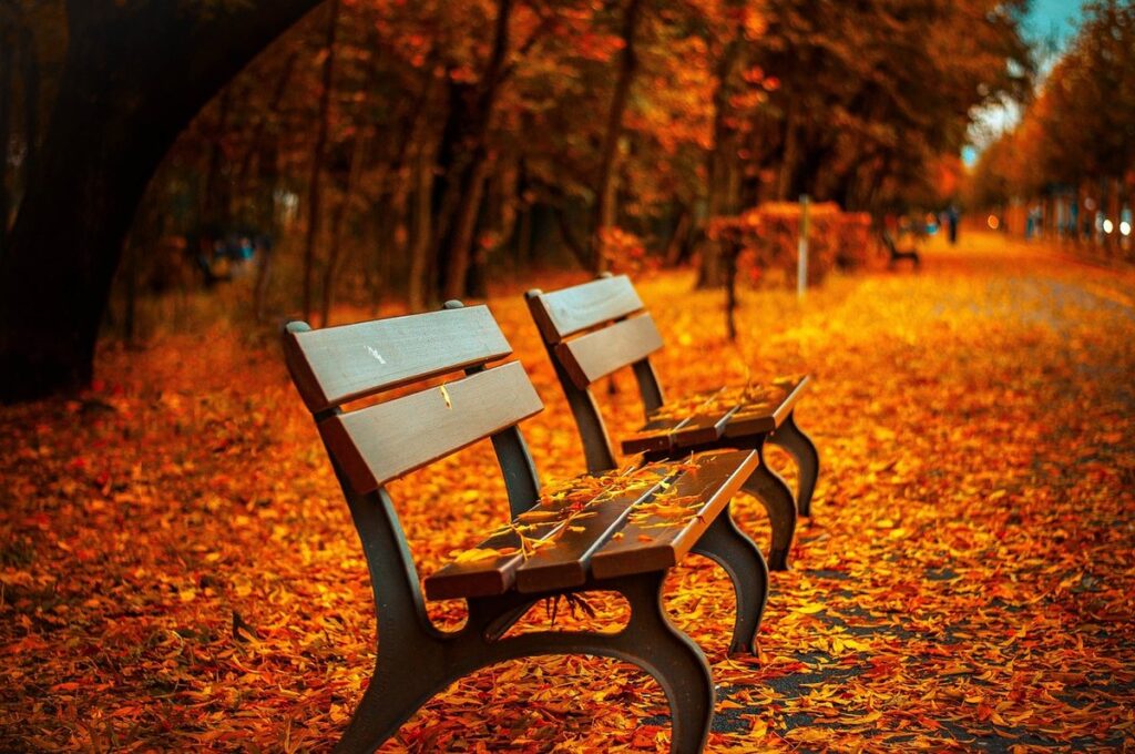 autumn art activities for infants
