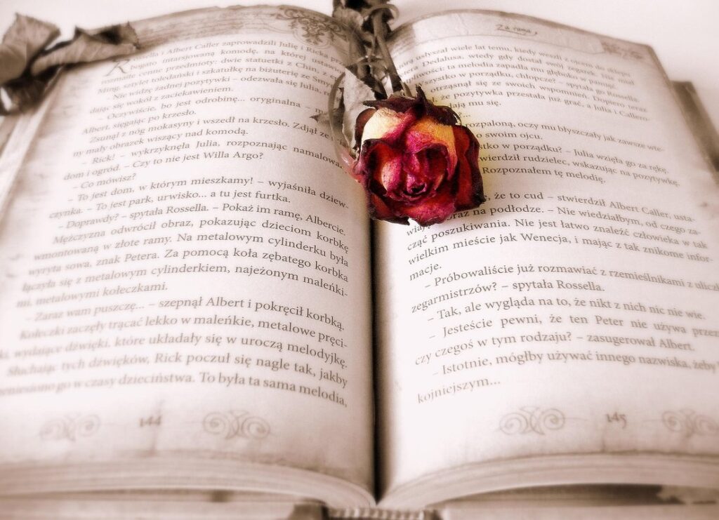 chapter books