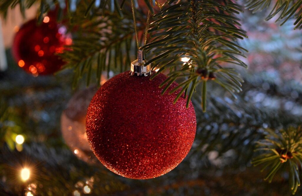 christmas decorations with fir cones for kids
