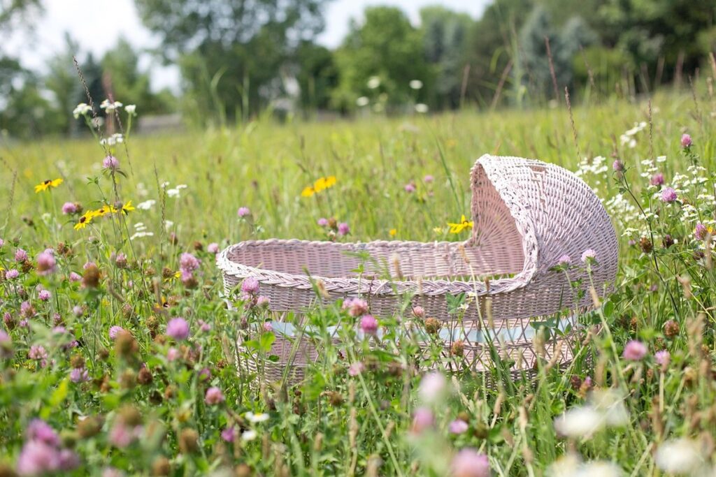 best bassinet for newborns
