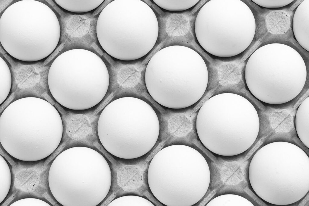 is organic chicken worth it for kids' nutrition