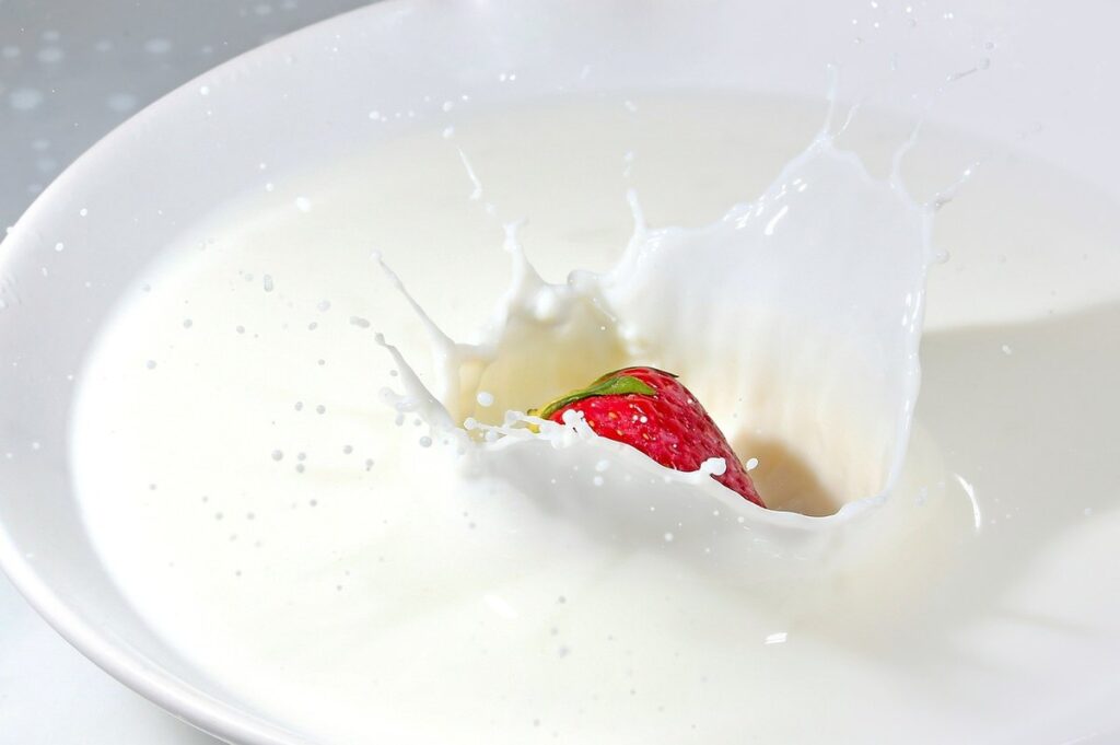 scalding high lipase milk