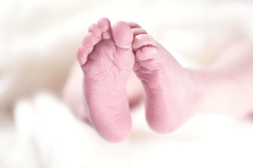 sibling relationships with newborns