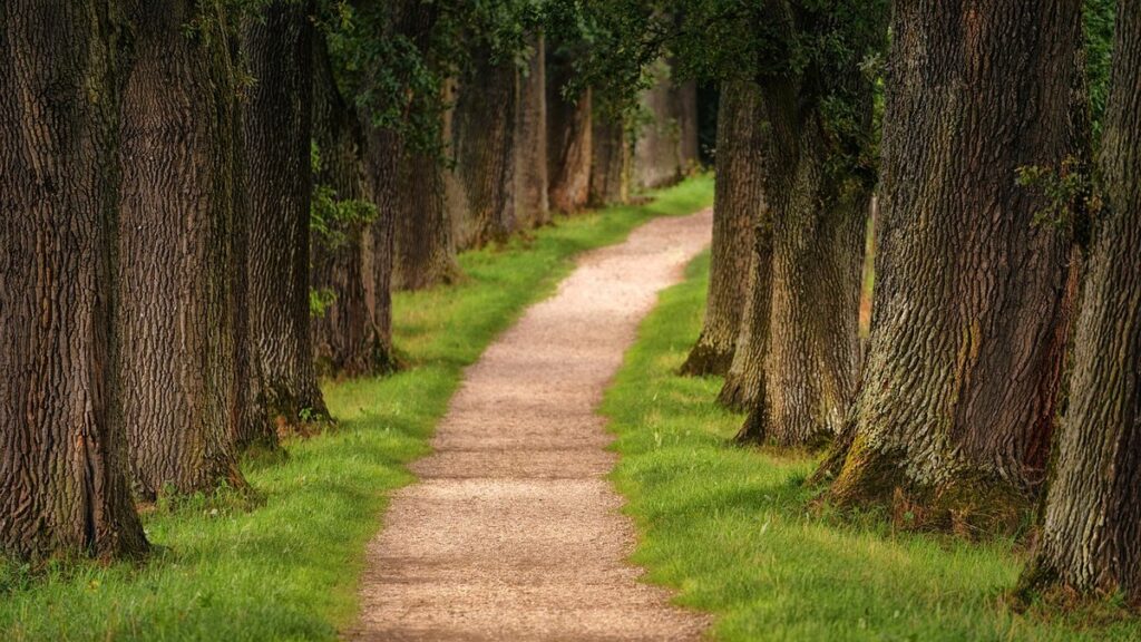 hiking trails huntsville al for families