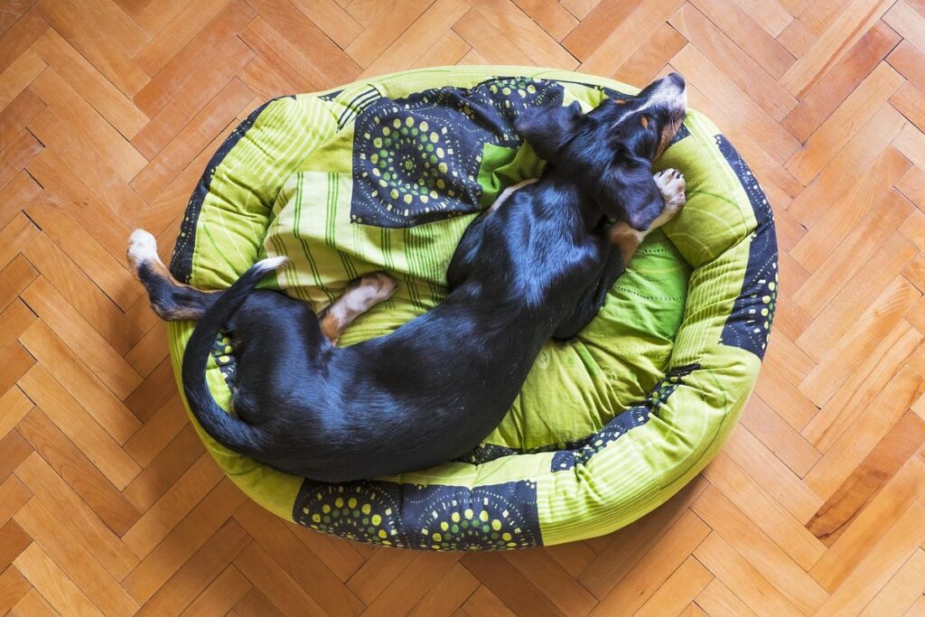 gentle sleep training methods