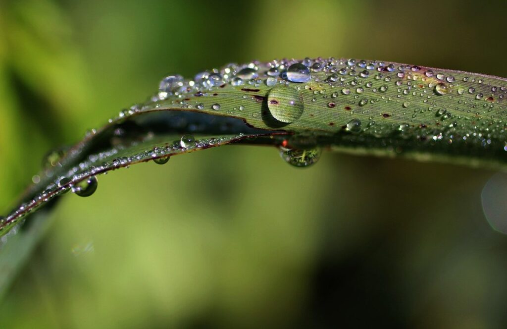 household routines for smoother mornings