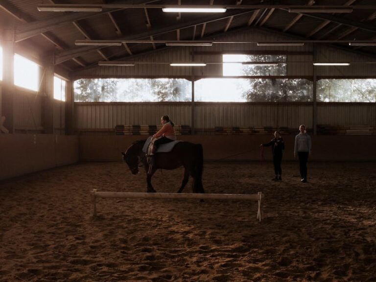 summer learning loss prevention