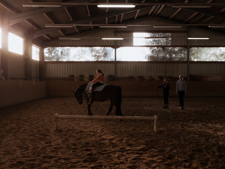 summer learning loss prevention -> summer learning loss