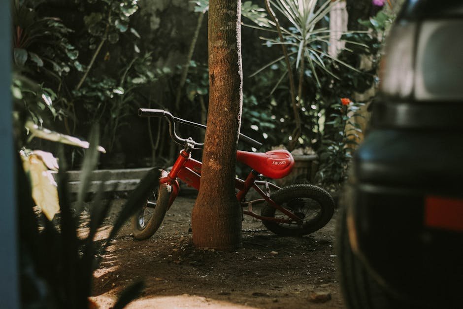 feelings wheel for kids -> feelings wheel